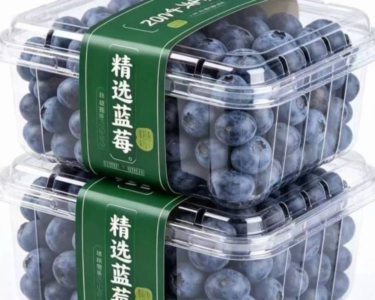 艺人背景图