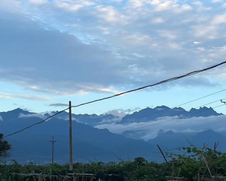 艺人背景图