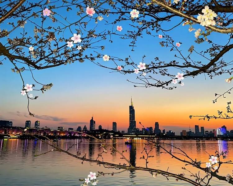 艺人背景图