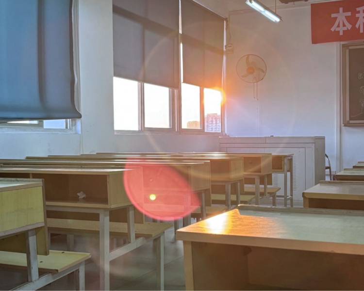 艺人背景图
