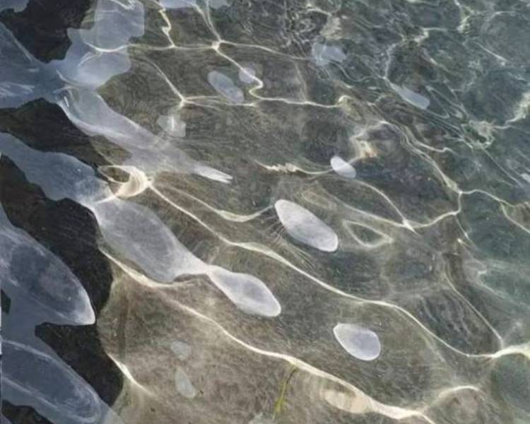 艺人背景图
