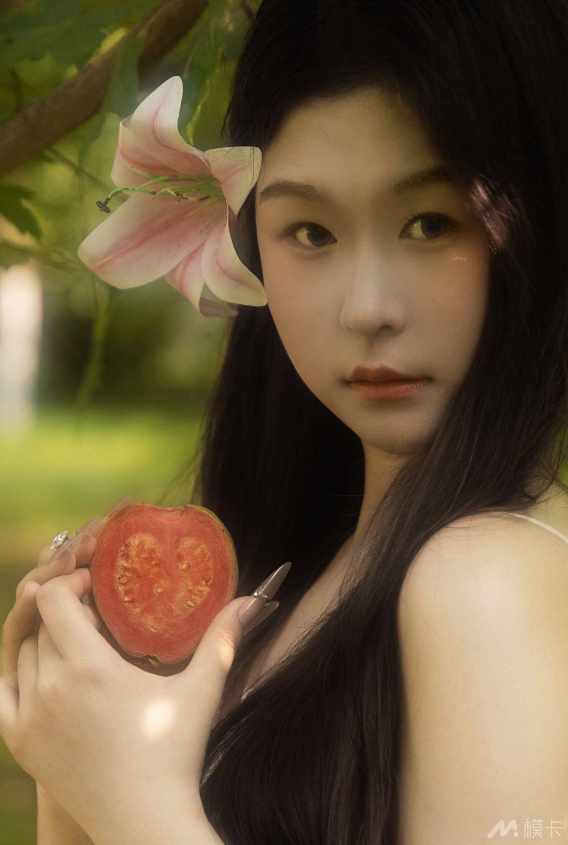 作品图片