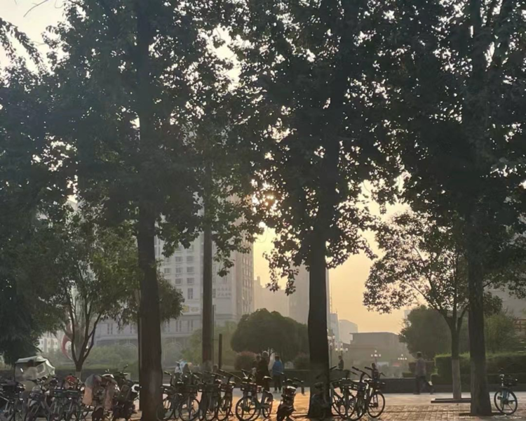艺人背景图