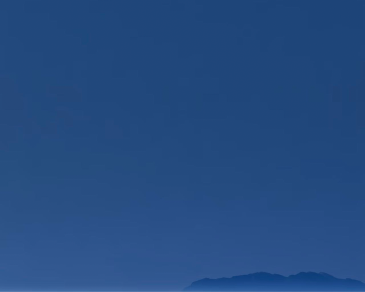 艺人背景图