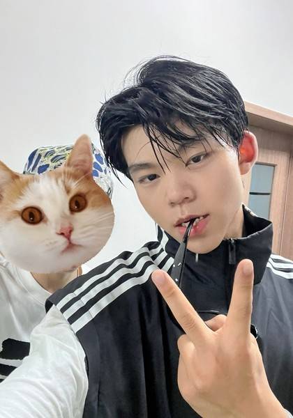 推荐艺人