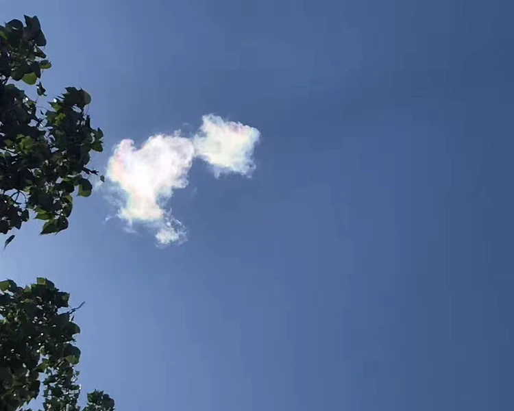 艺人背景图