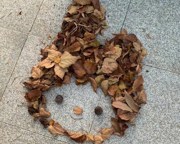 艺人背景图