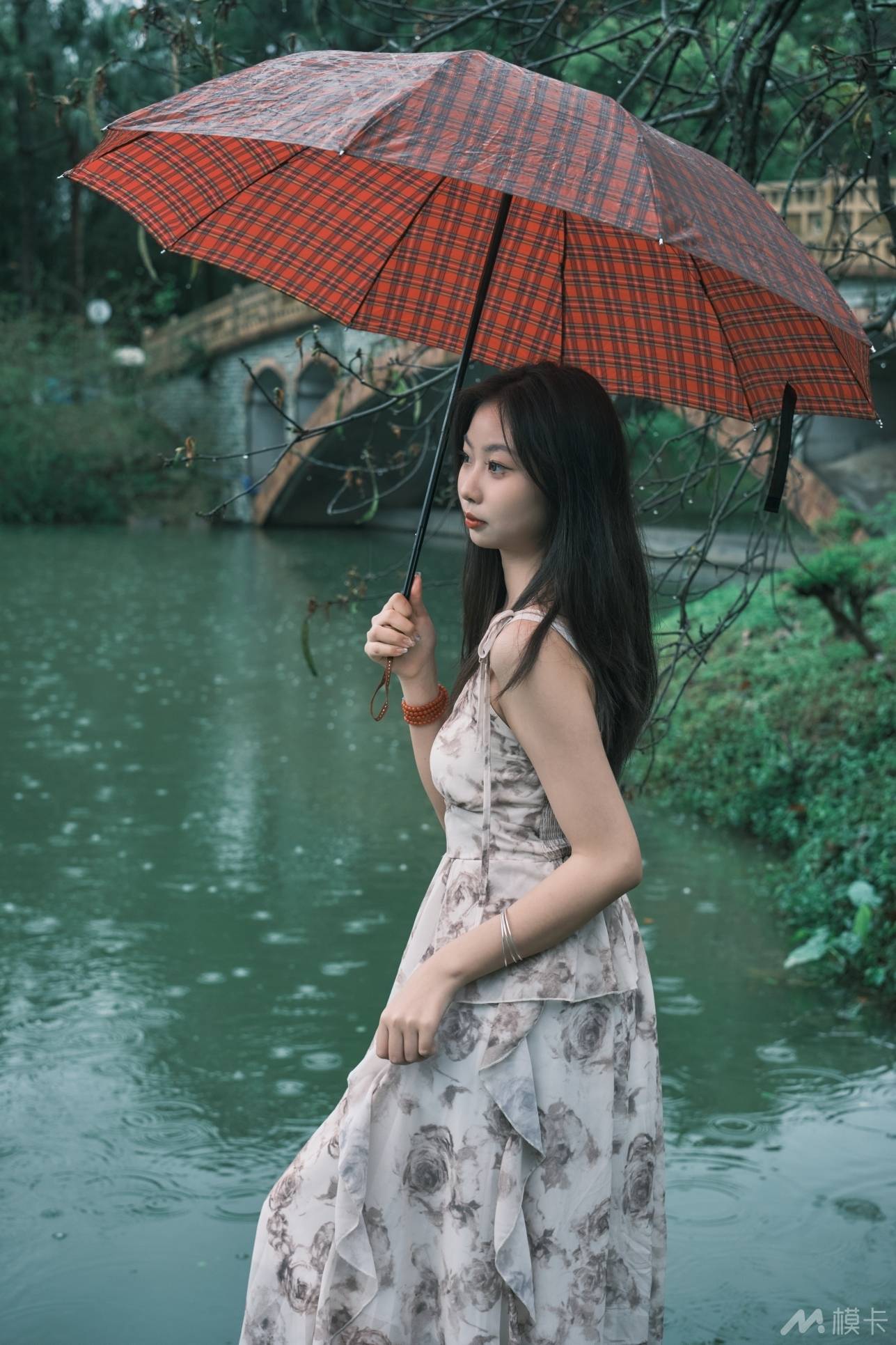 通告图片