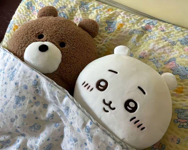 艺人背景图