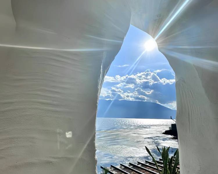 艺人背景图