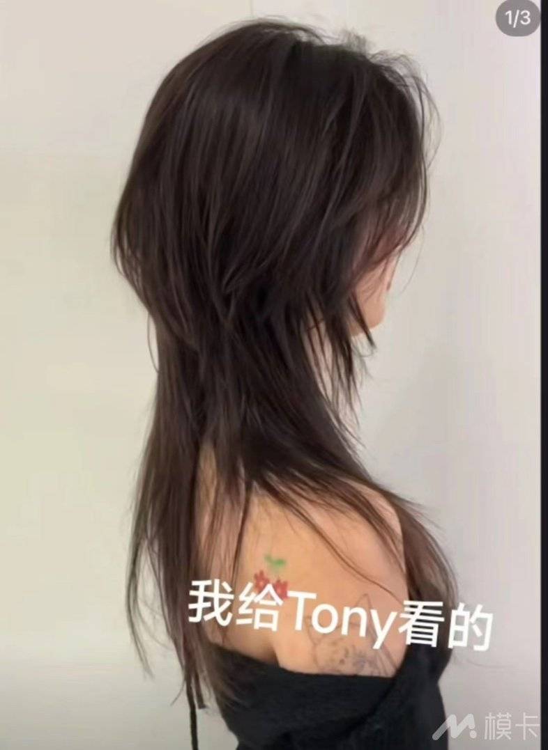 通告图片