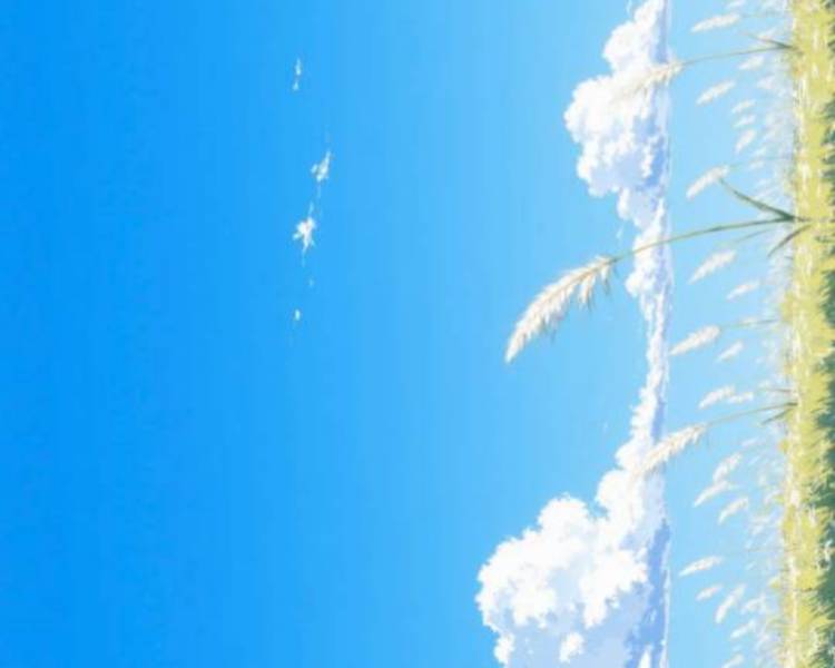 艺人背景图