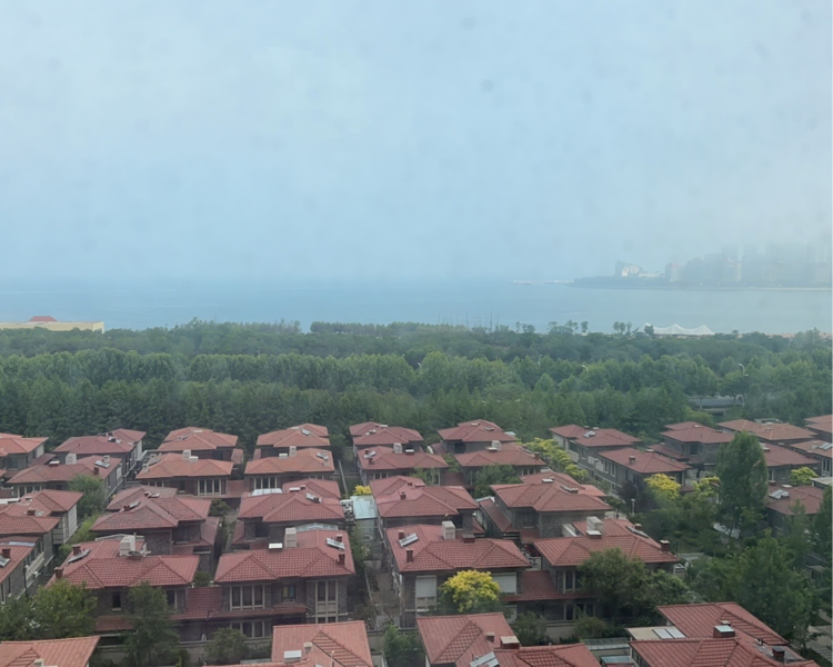 艺人背景图