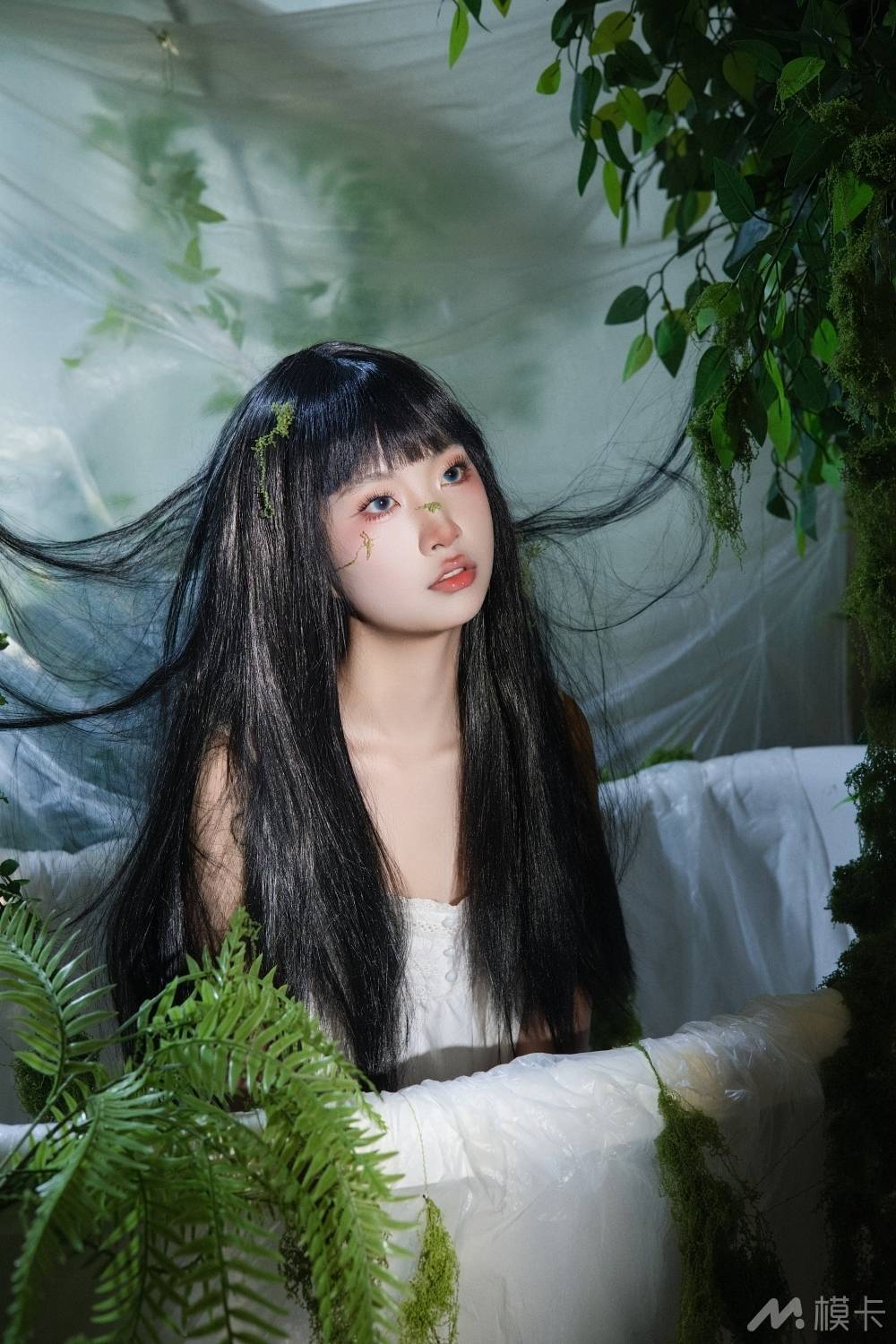 作品图片