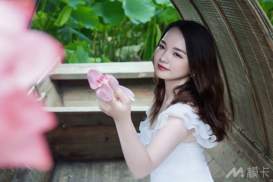 作品图片
