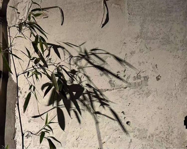 艺人背景图