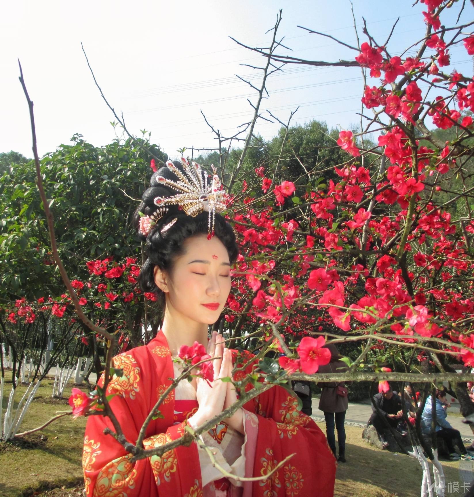 作品图片