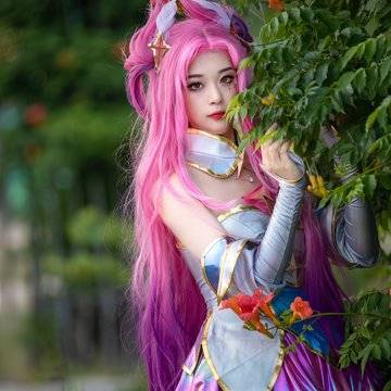 经历图片