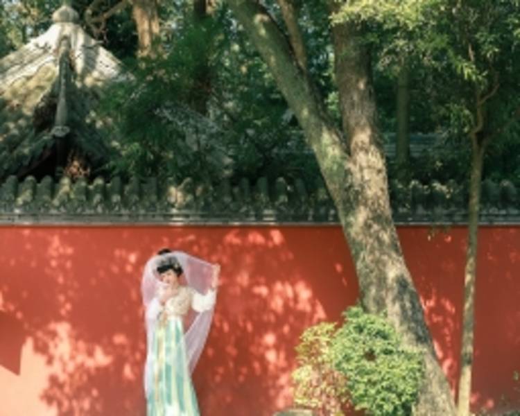 艺人背景图