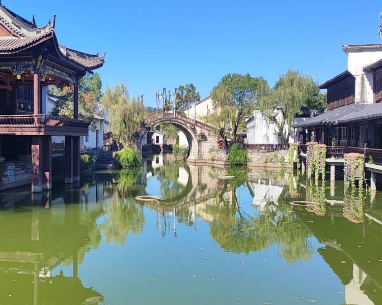 艺人背景图
