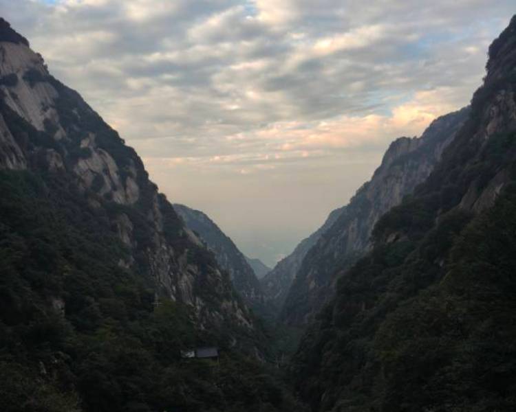 艺人背景图