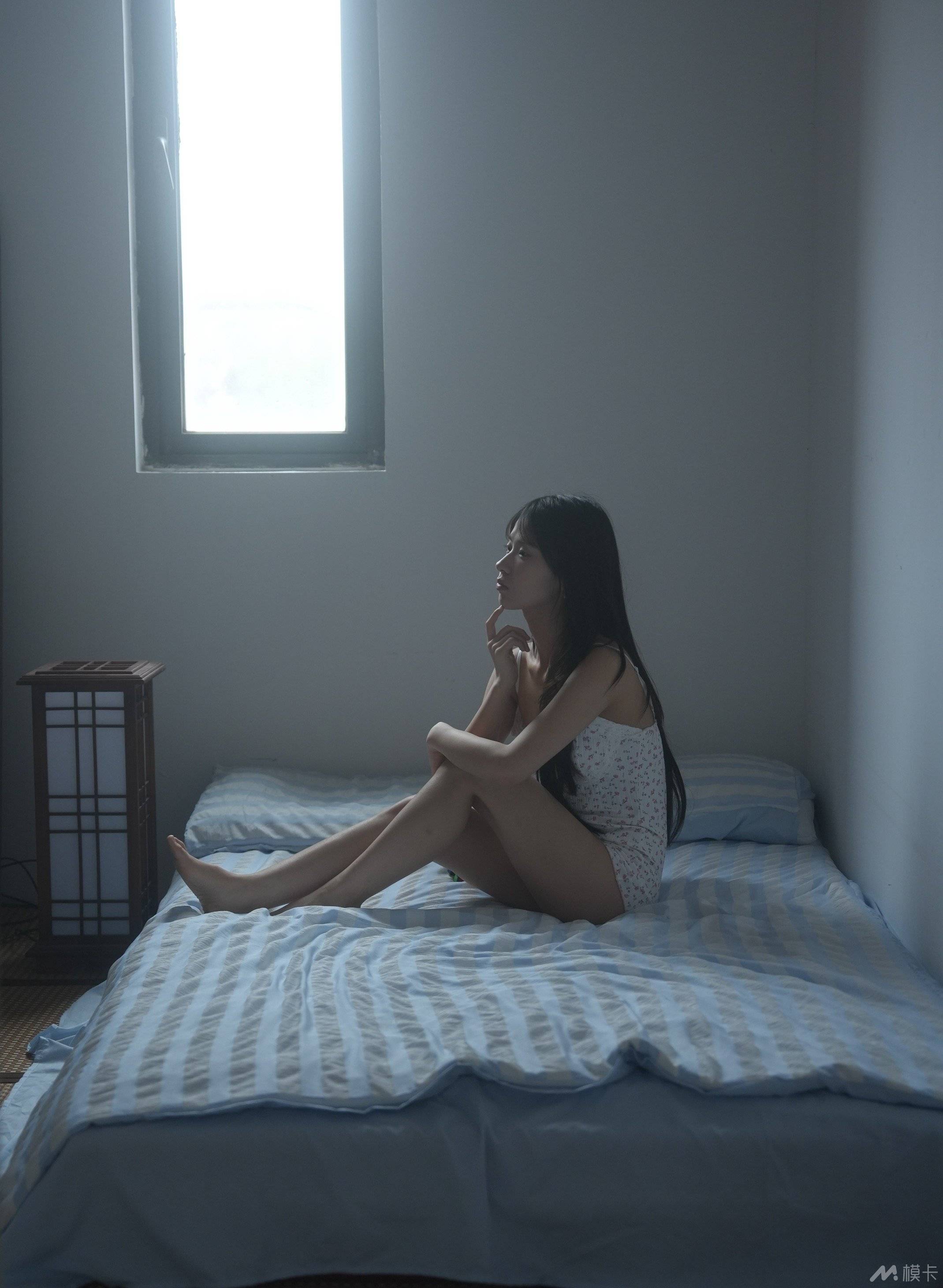 作品图片