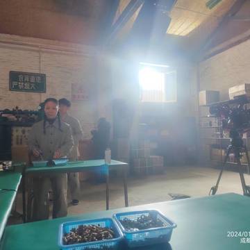 经历图片