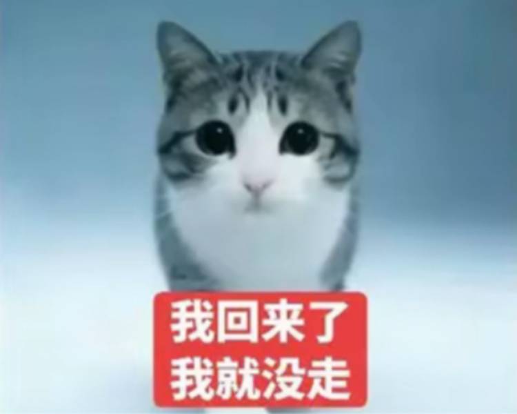 艺人背景图