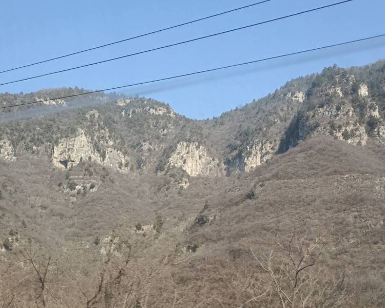 艺人背景图