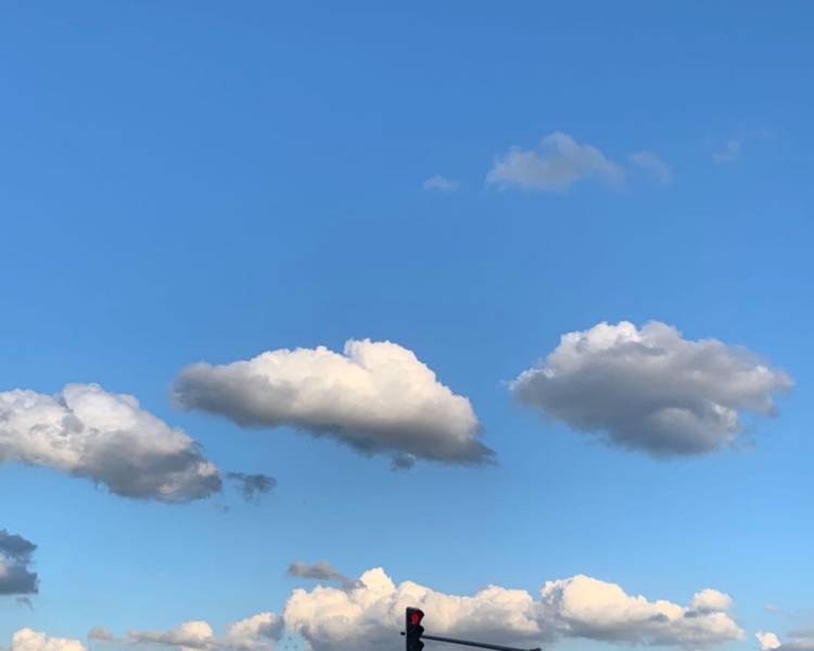 艺人背景图