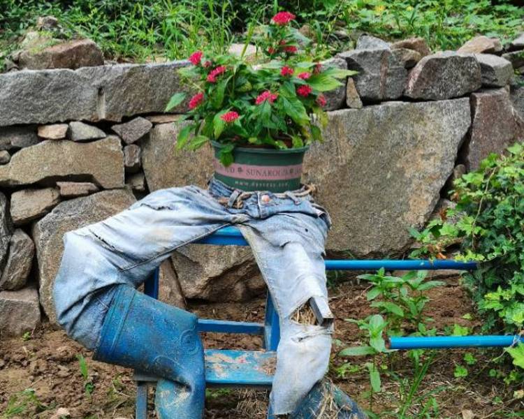 艺人背景图