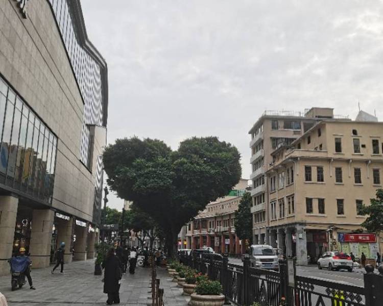 艺人背景图