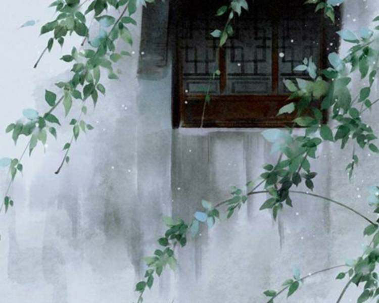 艺人背景图