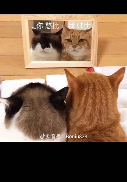 推荐艺人