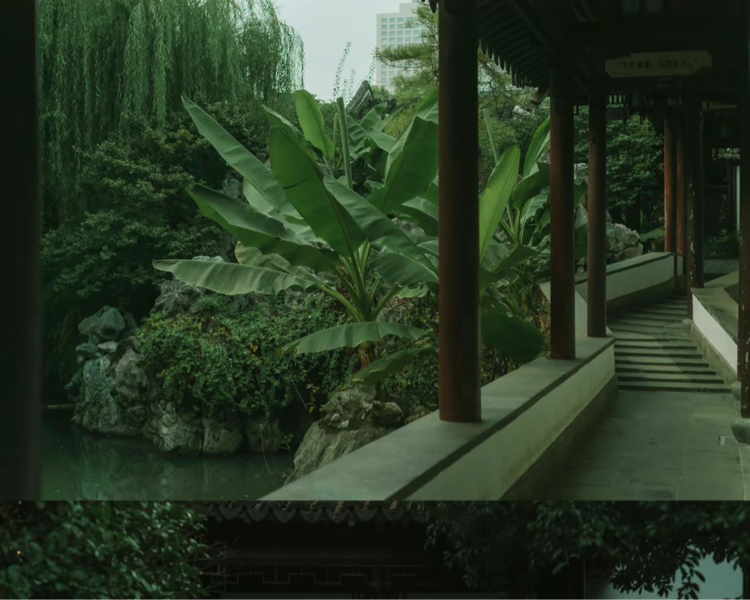 艺人背景图