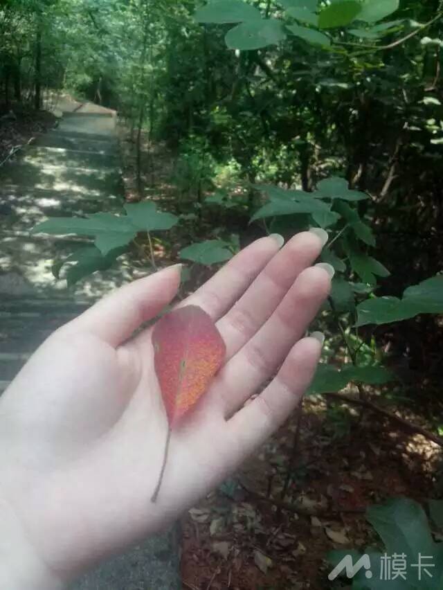 作品图片