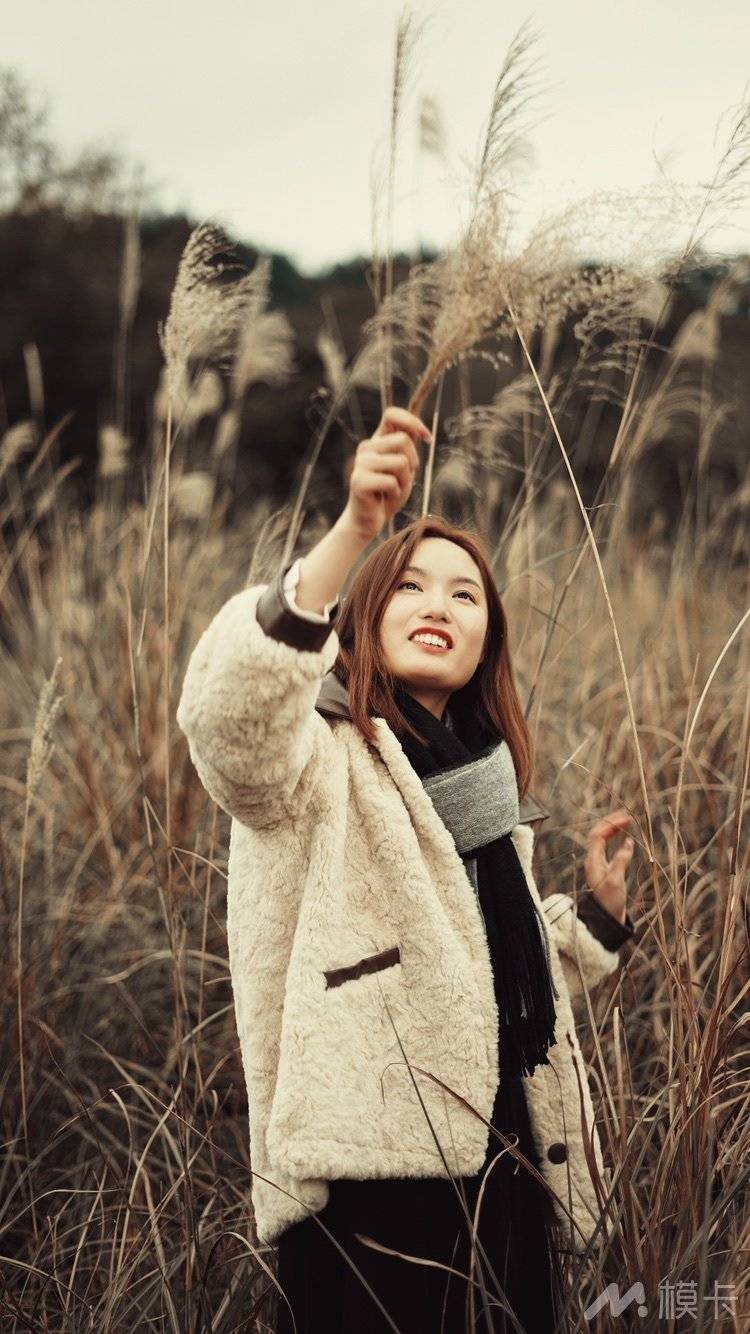 作品图片