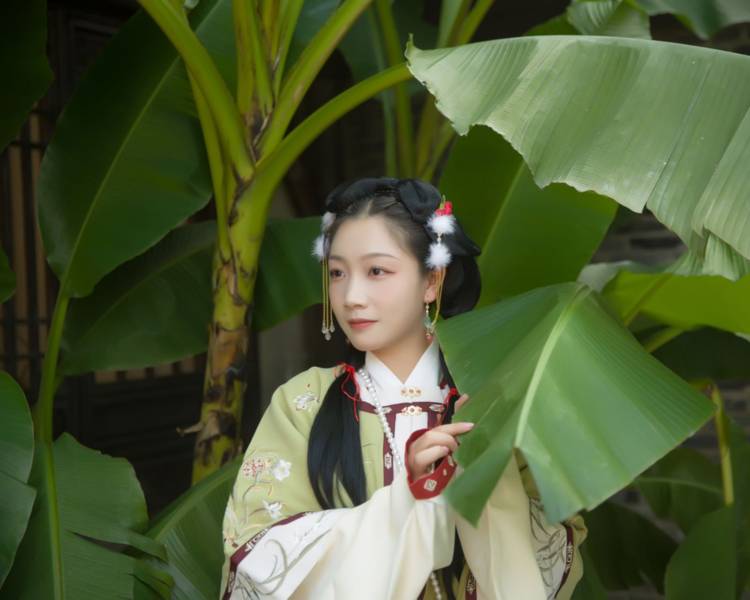 艺人背景图