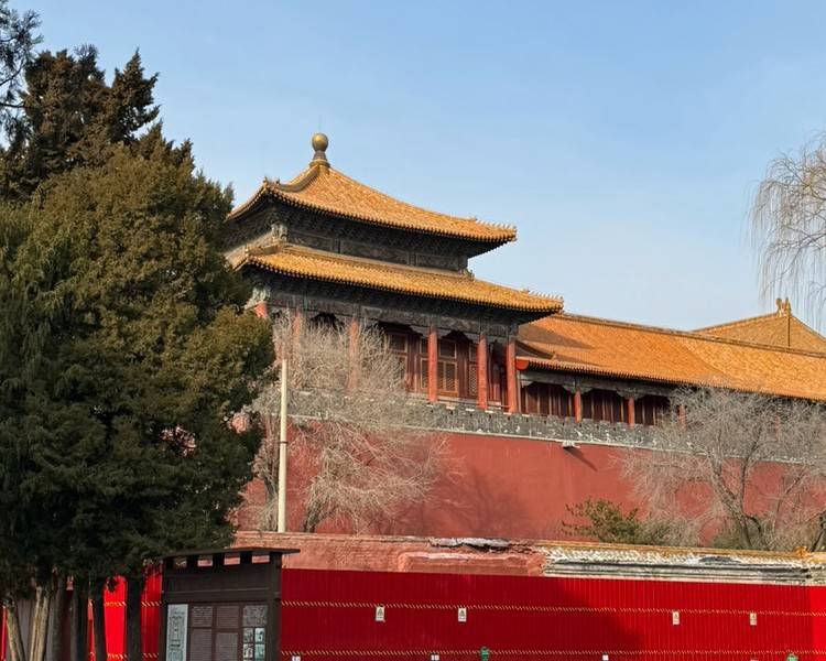 艺人背景图