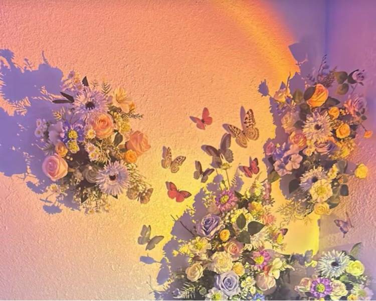 艺人背景图