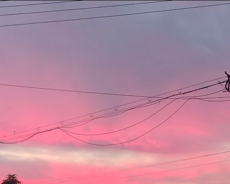 艺人背景图