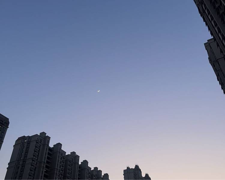 艺人背景图