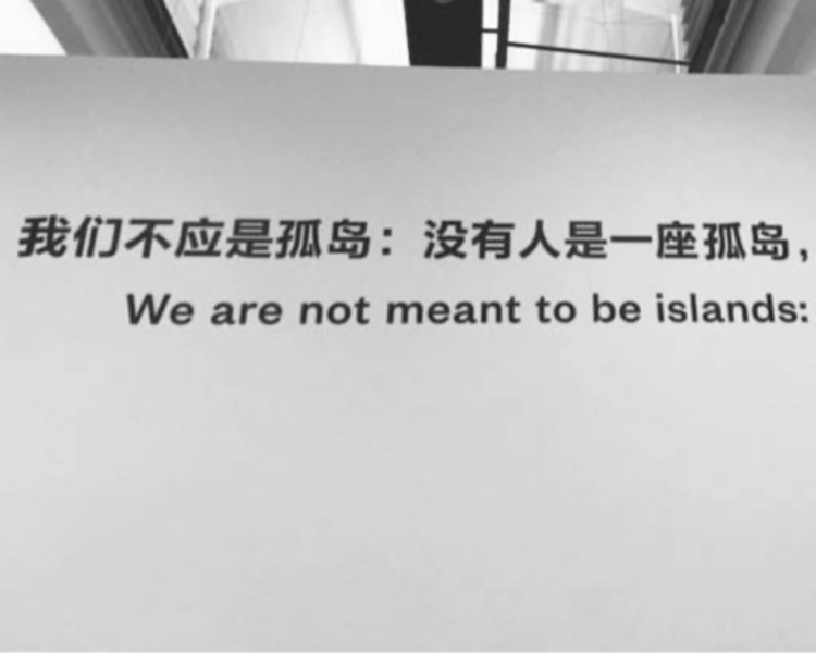 艺人背景图