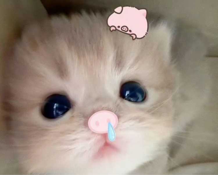 艺人背景图