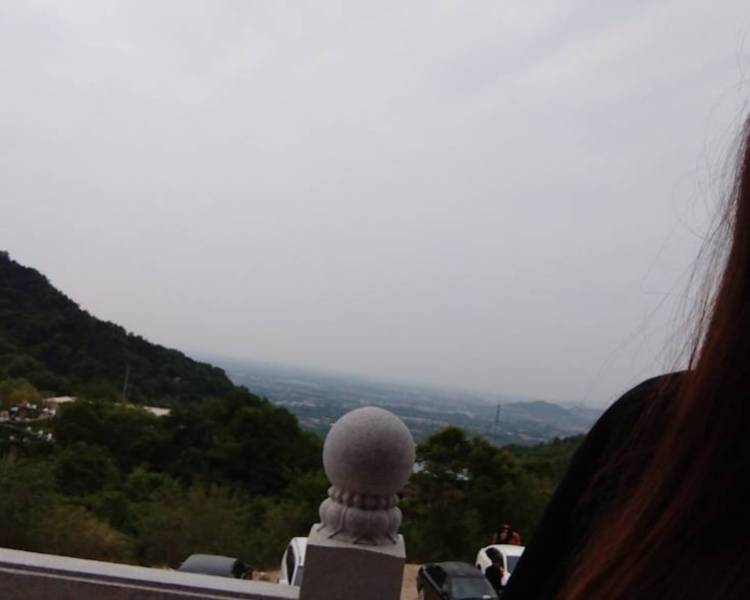 艺人背景图