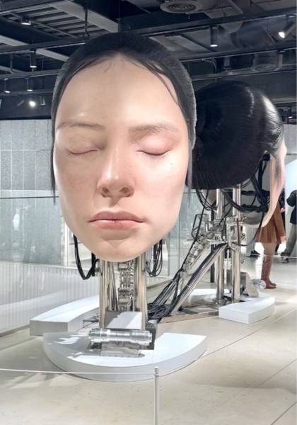 形象照片