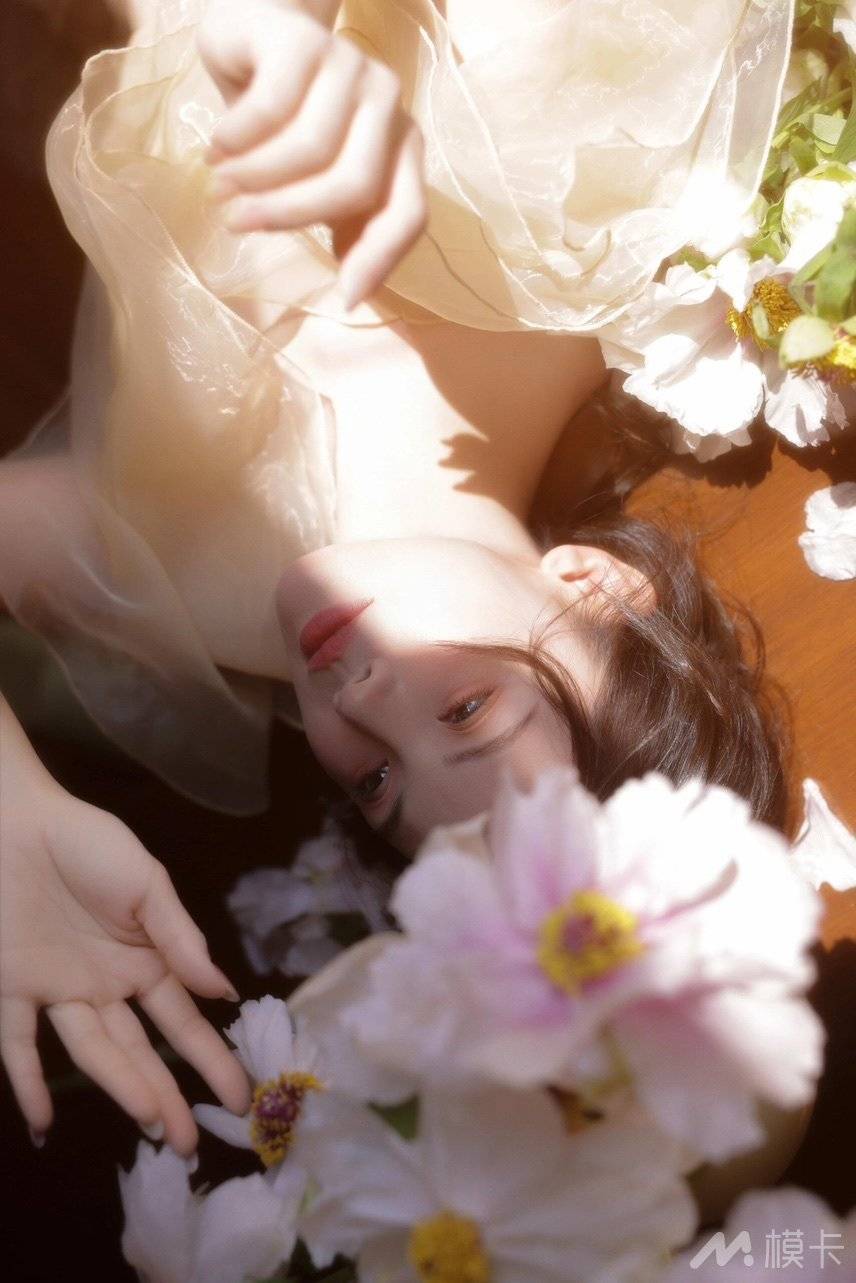 作品图片