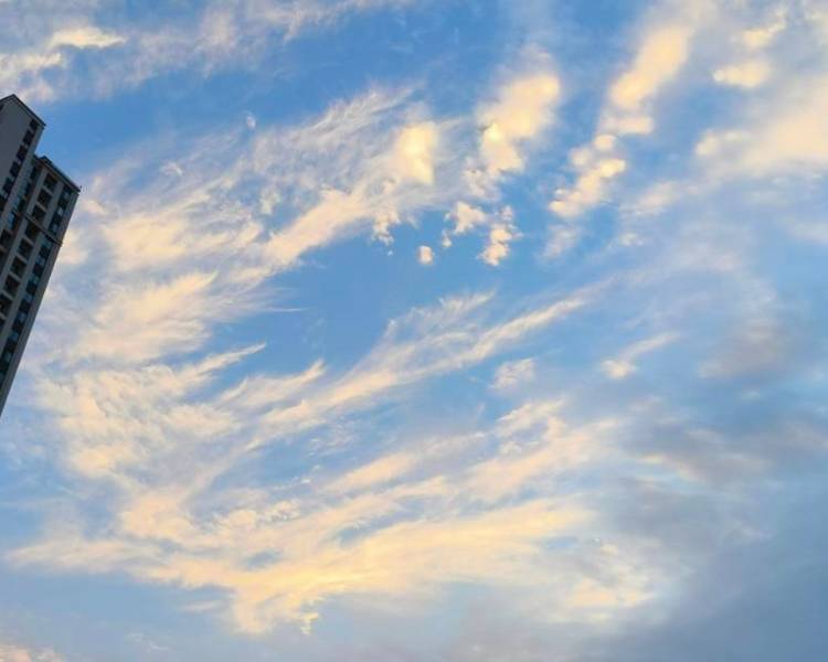 艺人背景图
