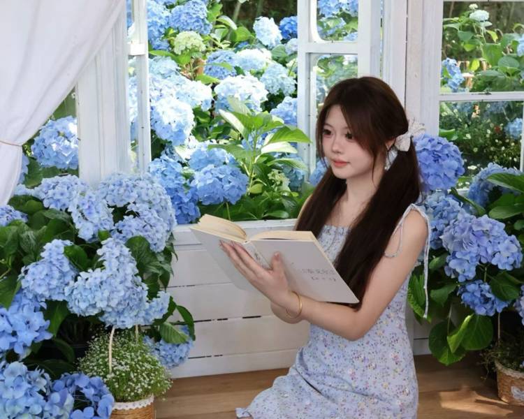 艺人背景图