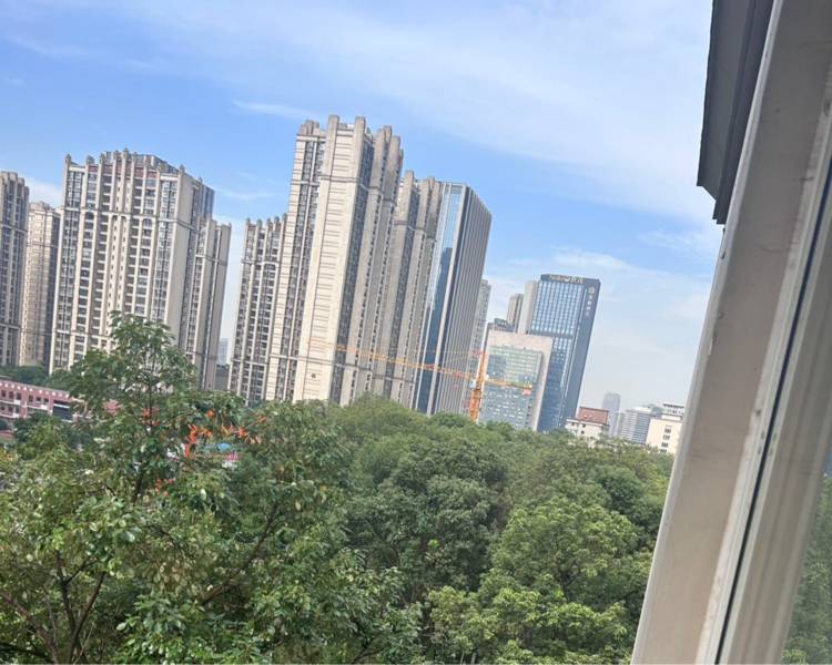 艺人背景图